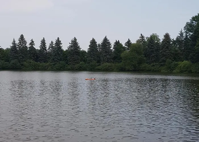 Waldbadhaeusel Naturbad-bungalow Oelsnitz (Erzgebirge)